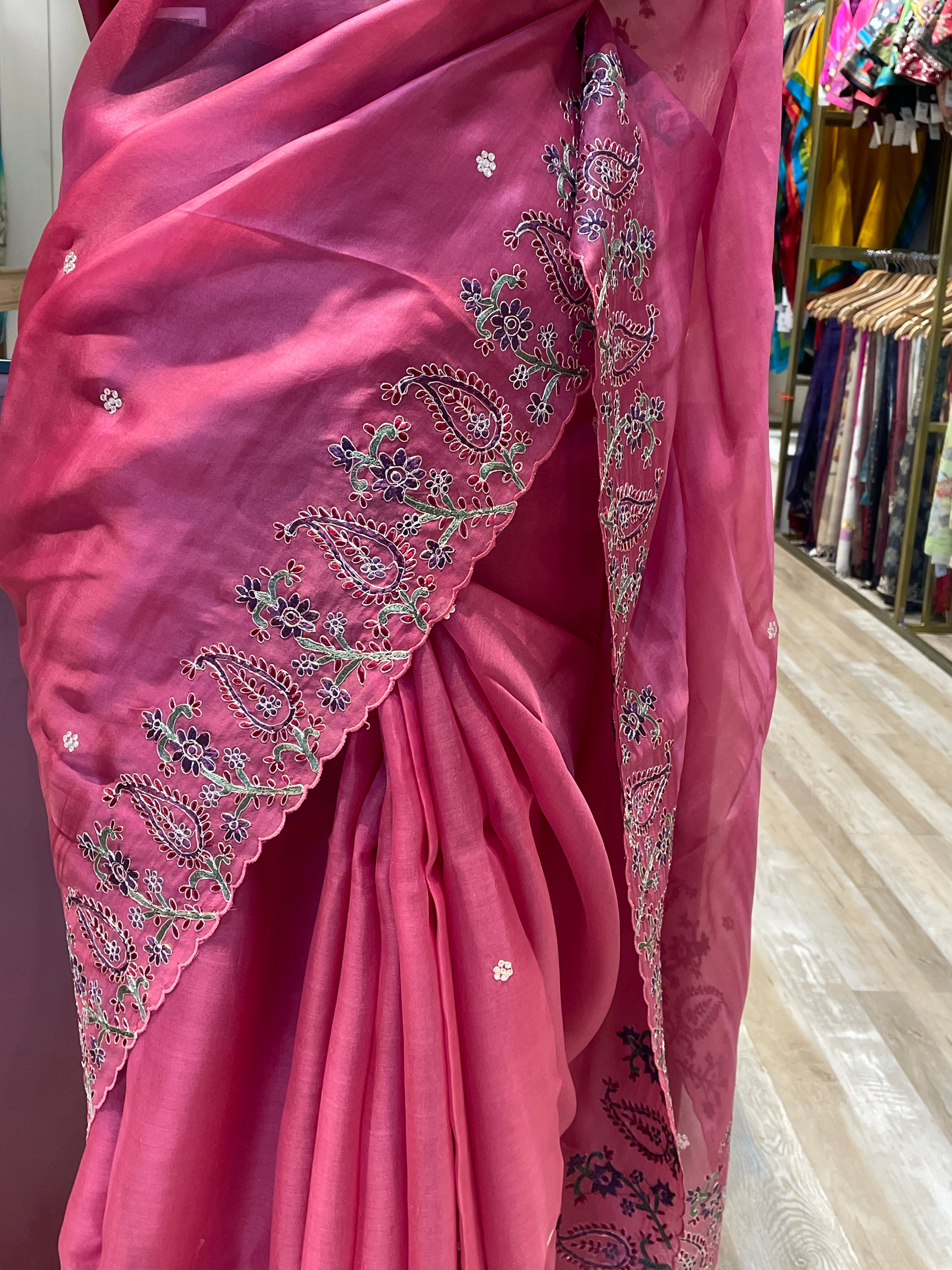 Pure Organza saree with pita work (PG)